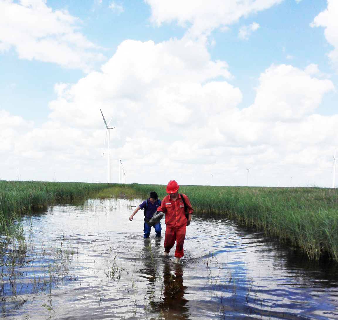 前線華儀|黑龍江大慶市林甸東明園風(fēng)電場(chǎng)紀(jì)實(shí)